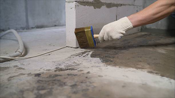 Top rated local Waterproofing specialists in Pittsford, MI